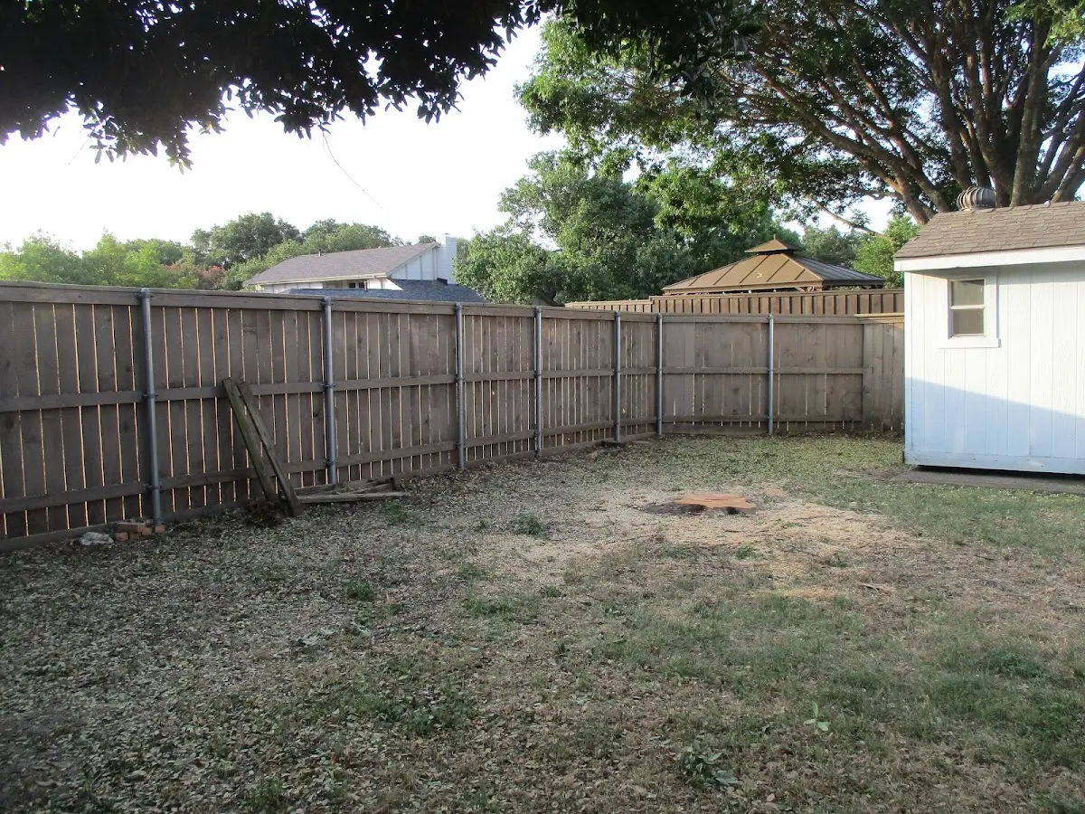 Cleared yard after professional tree removal in Kathleen